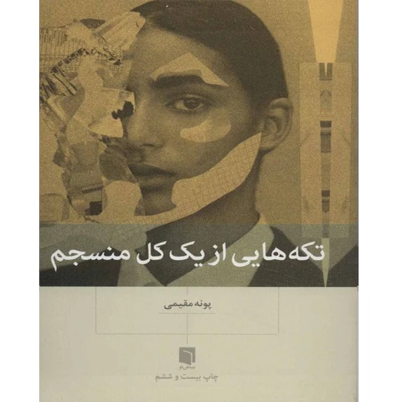 کتاب تکه‌هایی از یک کل منسجم (پونه مقیمی)